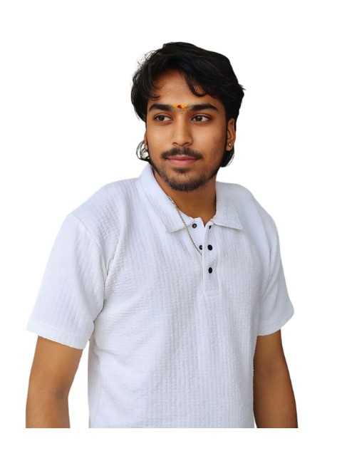 Srisabarivasan P L